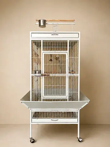 Birds Cage