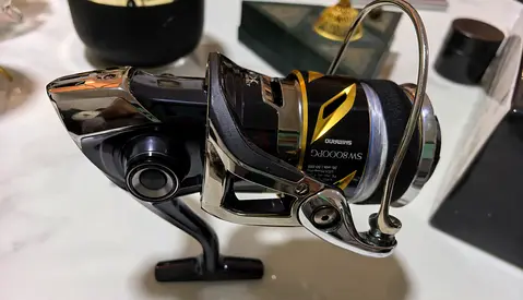 SHIMANO STELLA SW 8000 PG