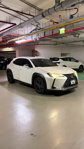 2019 Lexus UX-SERIES 照片 3