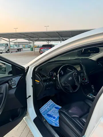 2014 Hyundai AZERA 照片 9