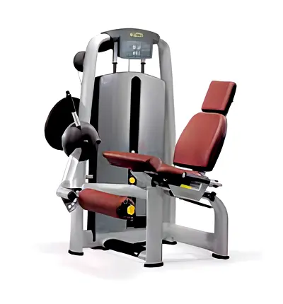 Technogym Selection Leg Extension (M991) – Commercial Gym Machine
