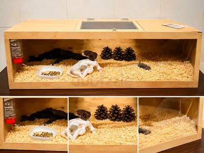 Wooden reptile/hamster enclosure with bedding, water bottle and hide