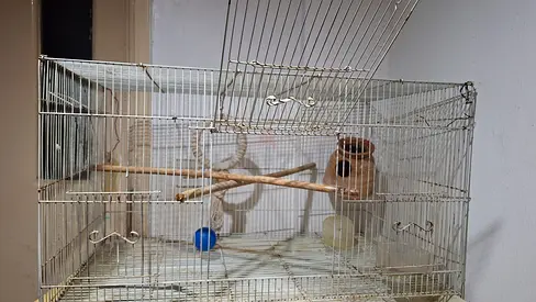 Birds cage For sale
