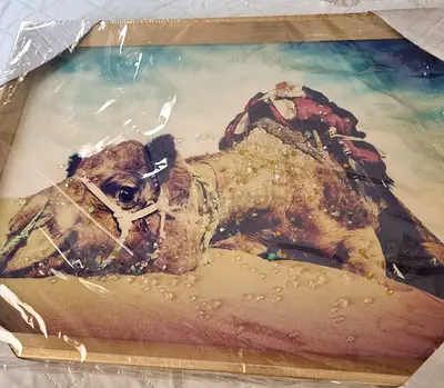 Framed Camel Artwork on Canvas — Desert Scene, 40 x 30 cm