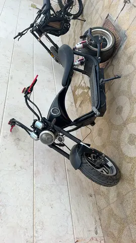عجمان