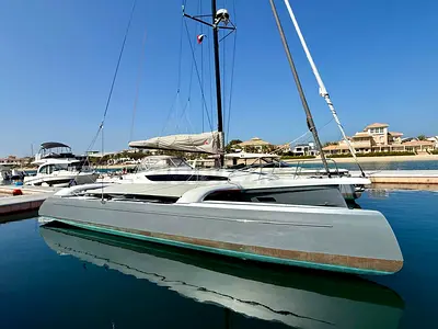 Dragonfly 36