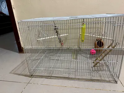White metal bird cage with toys and accessories