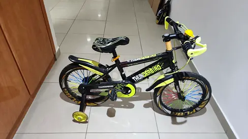 Kids Thunderbird 16-inch Bicycle with Training Wheels - Good Condition