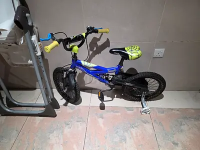 Kids 16-inch Blue/Green Mountain Bike with Training Wheels