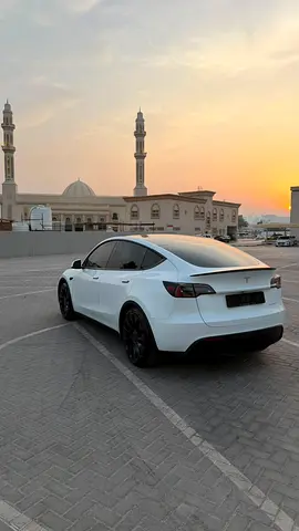 Tesla Model Y Performance, миниатюра 16
