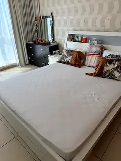 HUGE Master bedroom for Executive Bachelor Business Bay Metro :Male or Female