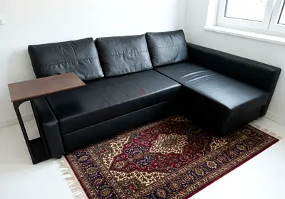 Luxury Living Room Sofa Bed
