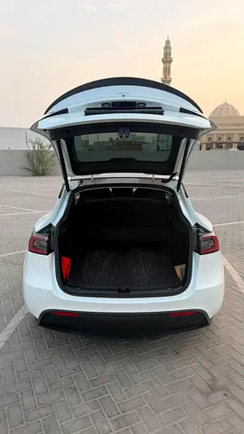 Tesla Model Y Performance, миниатюра 14
