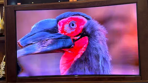 Samsung Curved TV 65" QLED