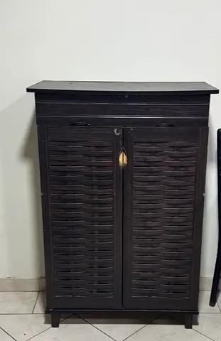 Dark Wood Woven 2-Door Storage Cabinet / Shoe Rack