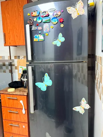 Fridge