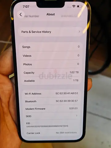 iPhone with 1TB Storage - Unlocked, battery and back camera change only but original