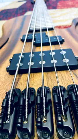 Bass guitar