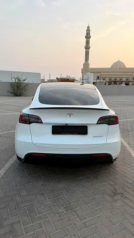 Tesla Model Y Performance, миниатюра 17