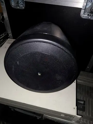 JBL C65P/T compact full range speaker