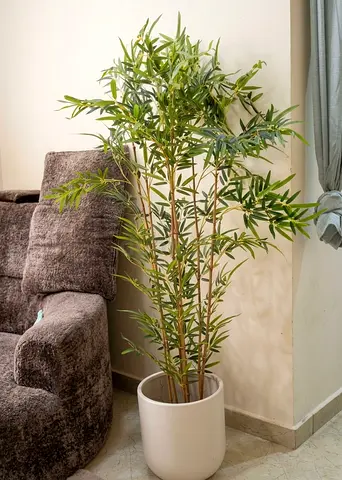 Tall Artificial Bamboo Plant in White Pot - Good Condition