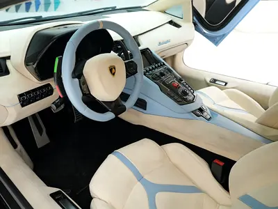 صورة مصغرة 14 لـ 2018 Lamborghini AVENTADOR S