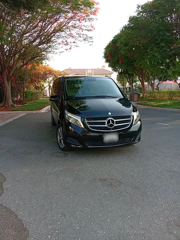 V 250 Family used low milage vehicle