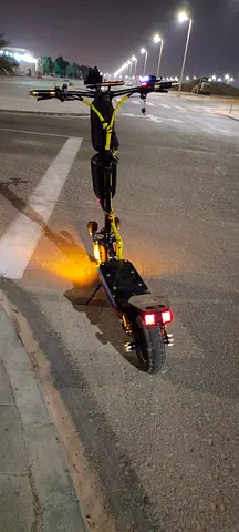Dual Motor GRLine Scooter