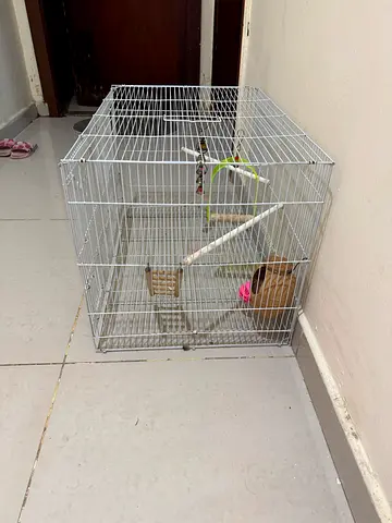 Medium white metal bird cage with perches and accessories