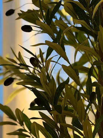 Artificial olive branch / foliage decoration (single stem) with mirror gift