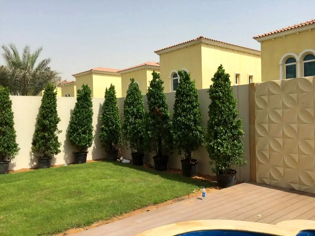 DPV_View_Image_3