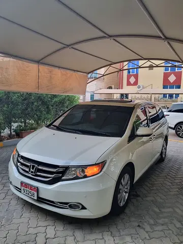 Hond odyssey