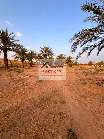 Productive Farm for Sale in Remah Al Ain Prime Investment Opportunity