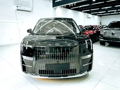 2024 Zeekr 009 照片 2