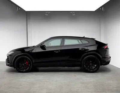 2019 Lamborghini URUS 缩略图 2