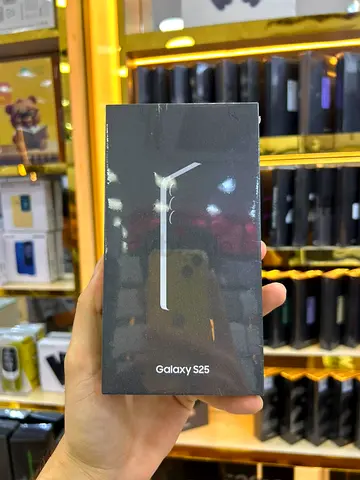 Samsung Galaxy S25