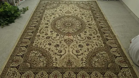 Traditional Persian-style area rug - beige, good condition