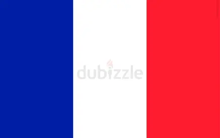 French & German Tutor (IB/ A-Level/ IGCSE)