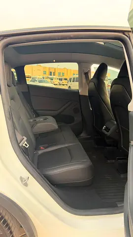 Tesla Model Y Performance, миниатюра 10