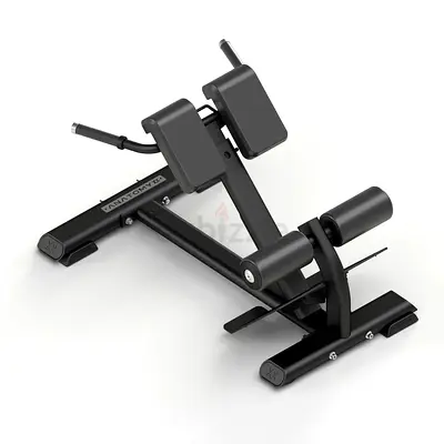 ANATOMY FITNESS BACK EXTENSION