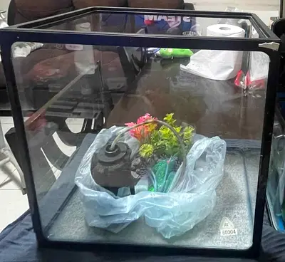 Glass Aquarium Tank with Filter and Decorations