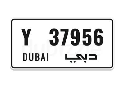 🔥Y🔥 AND SERIAL 37956