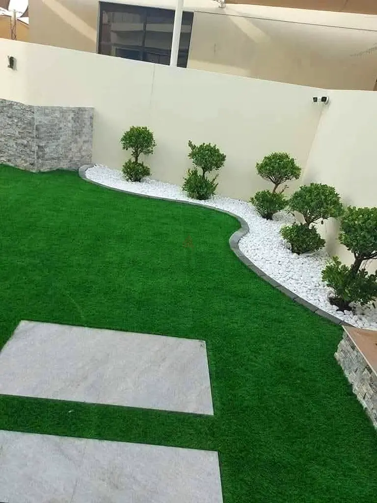 DPV_View_Image_2