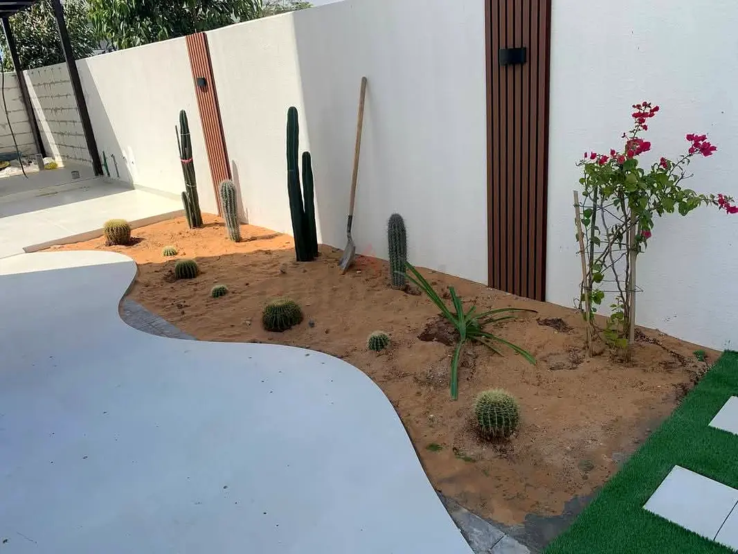 DPV_View_Image_1