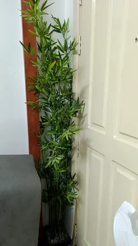 Artificial plant tall