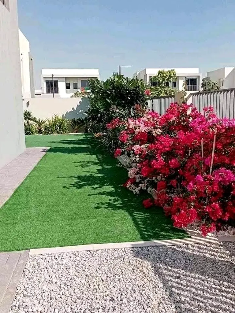 DPV_View_Image_5