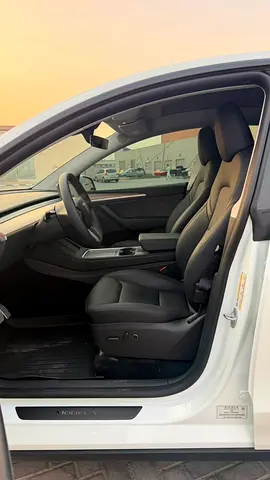 Tesla Model Y Performance, миниатюра 7