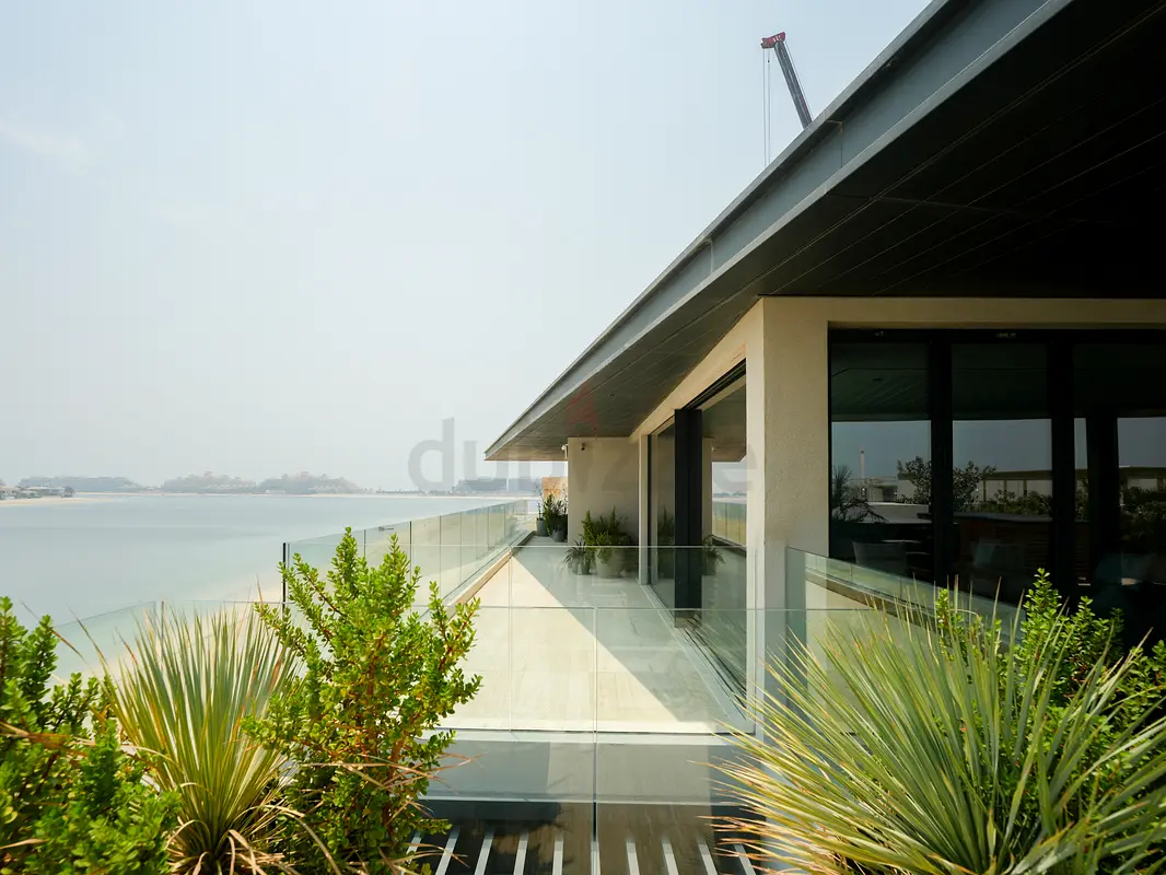DPV_View_Image_6