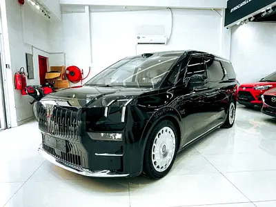 2024 Zeekr 009 照片 3