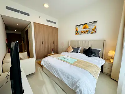 Brand new Furnished 1 bedroom apartment available on monthly rental basis.